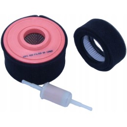 Weber SRV 650 filtrai, Robin Jumper variklis, kompl