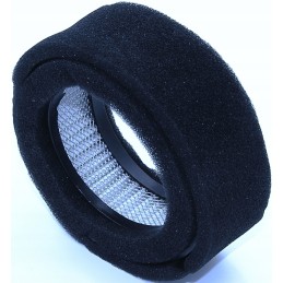 Weber SRV 650 filtrai, Robin Jumper variklis, kompl