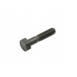 New Holland ratlankio varžtas 95 100