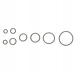 O-žiedų rinkinys, sandarikliai GZ ORFS klipams, 250 vnt