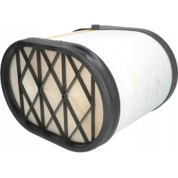 Donaldson oro filtras p608677