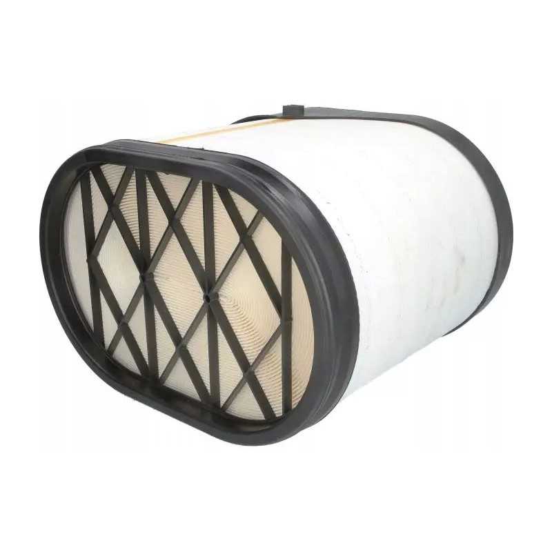 Donaldson oro filtras p608677