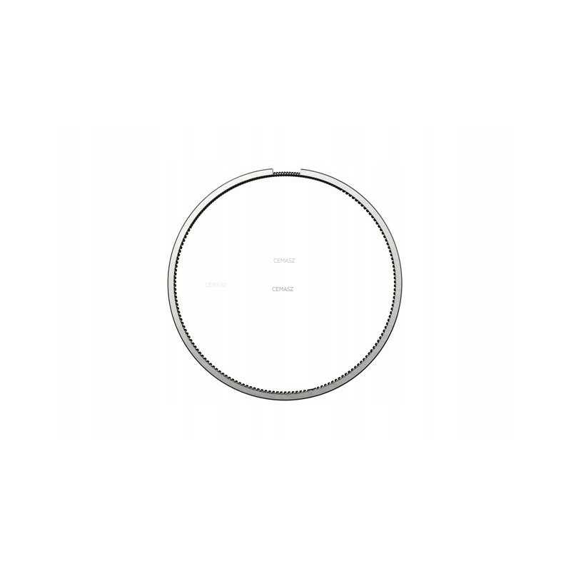 Stūmoklio žiedas katei