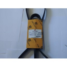 JCB 320 08598 generatoriaus kelių griovelių diržas