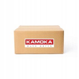 Oro pagalvėlės dumplės 2079063 kamoka