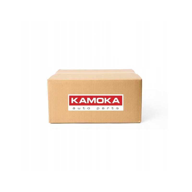 Oro pagalvėlės dumplės 2079063 kamoka