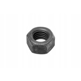 Dantų riešutų katė