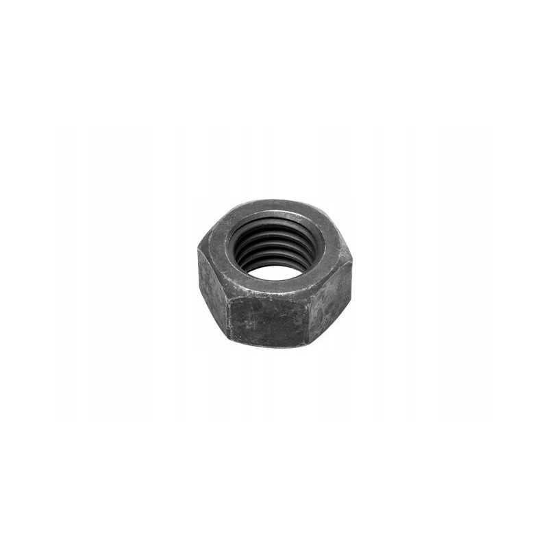 Dantų riešutų katė