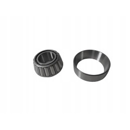 Merlo stebulės redukcijos guolis 024938