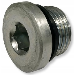 Hidraulinis kamštis su sandarikliu BSP sriegiu 1 2