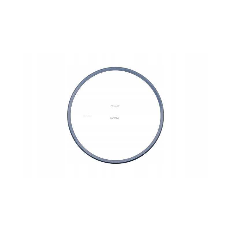 Transmisijos sankabos sandariklis katėms