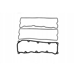 Vožtuvo dangtelio tarpiklis kačių perkinams 2256451