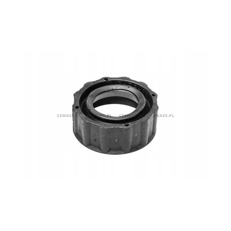 Originalus katės spaustukas