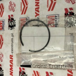 Hatz 1d41 1d42 įvorės apsauga 50458000