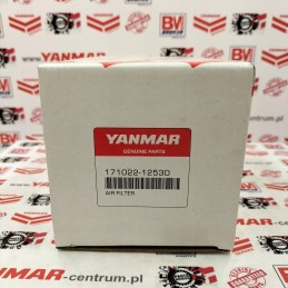 Yanmar oro filtro elementas vio15