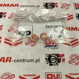 Hatz 1d81 įpurškimo tarpinė 04185200