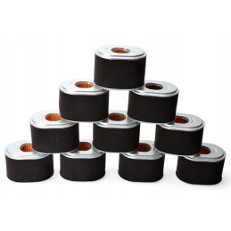 10 x oro filtras honda gx160 tankintuvui