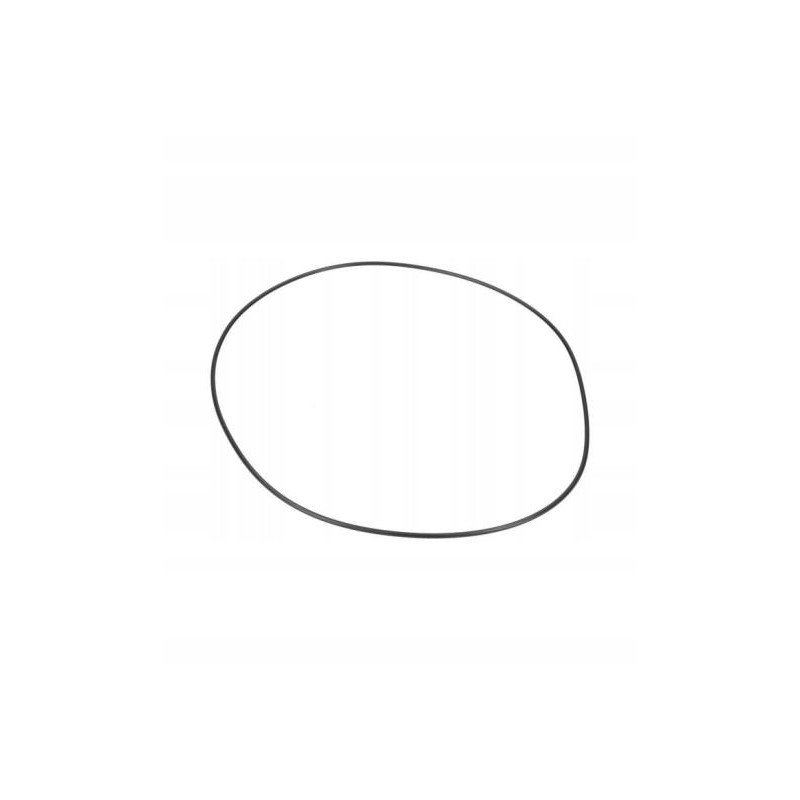 473518 Manitou ašies korpuso sandarinimo žiedas