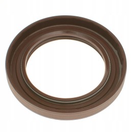 Ruonių kovos cva ataka