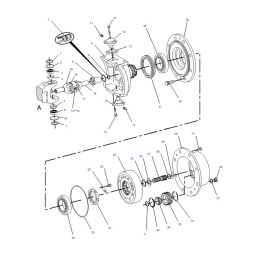 Polos trumpa katė 428 ii b 9r3161