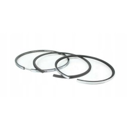 Rings std lombardini ldw1204 variklis