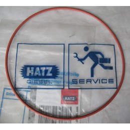 Hatz L serijos vožtuvo dangtelio tarpiklis 50224900