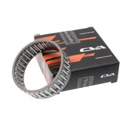 Adatinis ritininis guolis cva