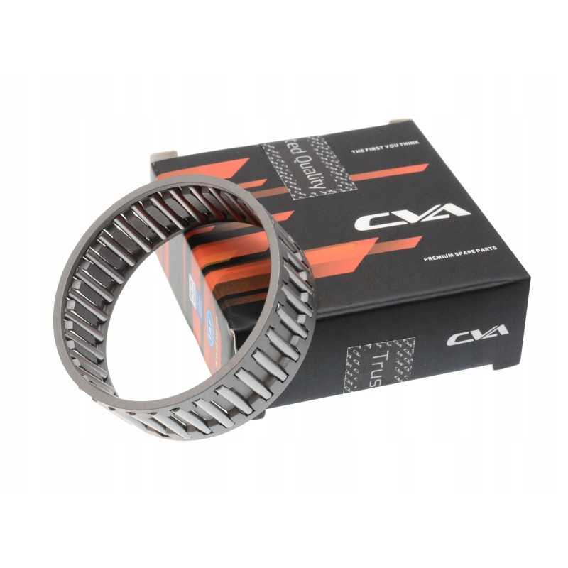 Adatinis ritininis guolis cva