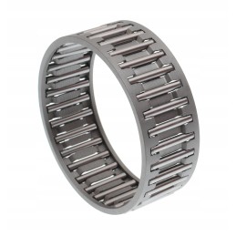 Adatinis ritininis guolis cva