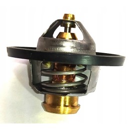 Variklio termostatas 84322388 504380075