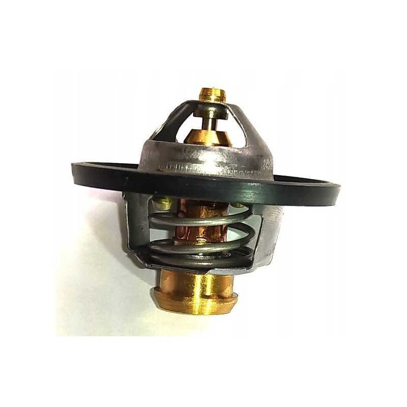 Variklio termostatas 84322388 504380075