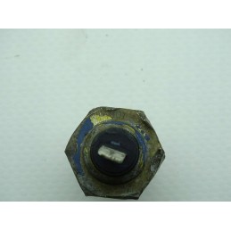 Vm motori 64b 4 schmidt swingo temperatūros jutiklis