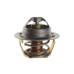 Cat OEM Perkins termostatas