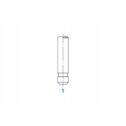 Įsiurbimo vožtuvas 1723 osvat dacia nissan