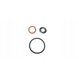 Tarpiklių rinkinys lombardini ldw1003 įpurškimui