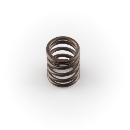 Hatz e75 e79 e780 vožtuvo spyruoklė 03172000