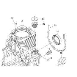 Hatz 1b20 1b30 membraninis dangtelis 01555800