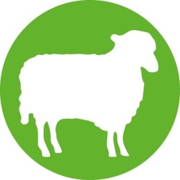 Vienkartinis švirkštas hsw norm ject 20ml 24ml o