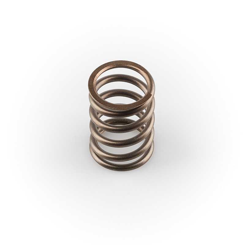 Hatz 1d60 1d81 vožtuvo spyruoklė 04005300