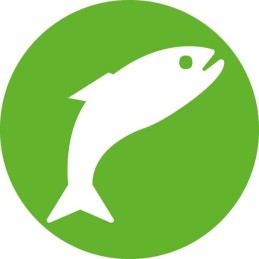 Vienkartinis švirkštas hsw norm ject 2ml 3ml pakuotė