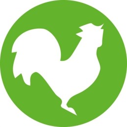 Vienkartinis švirkštas hsw norm ject 2ml 3ml pakuotė