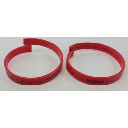 Hallite L 504 kreipiamoji juosta 20 x 4