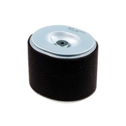 Honda gx340 gx390 oro filtro keitimas sa1200