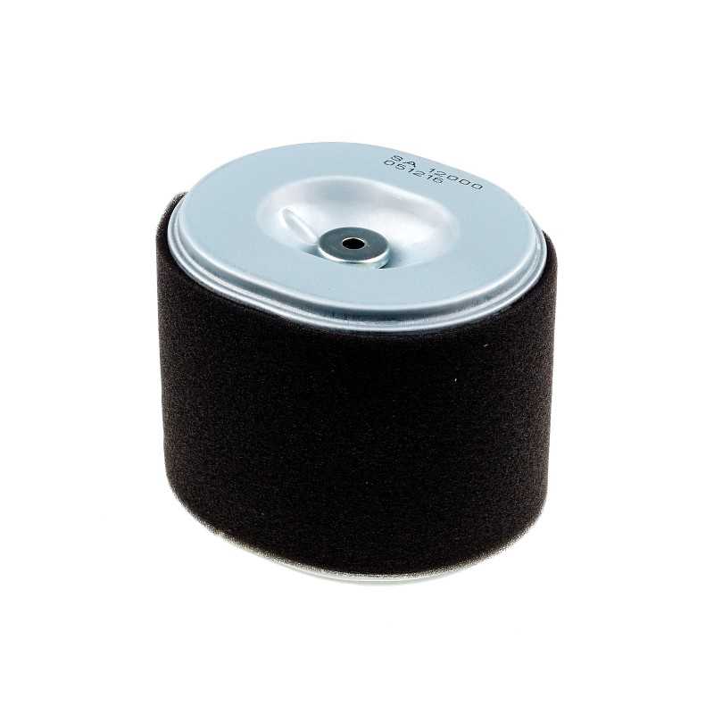 Honda gx340 gx390 oro filtro keitimas sa1200