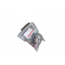 744834 manitou originalus termostatas