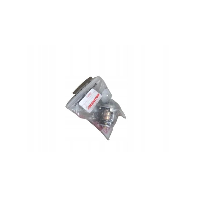 744834 manitou originalus termostatas