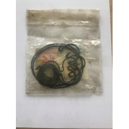 Hidro sandariklių rinkinys danfoss 211 25 003 snp3 01