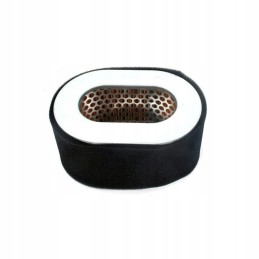 Yanmar L100 oro filtras