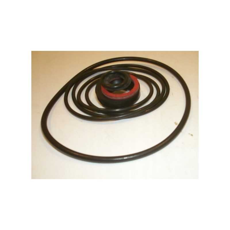 Tarpiklių rinkinys mf leyland siurbliui