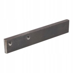 Palfinger skaidrė 170x30x10mm